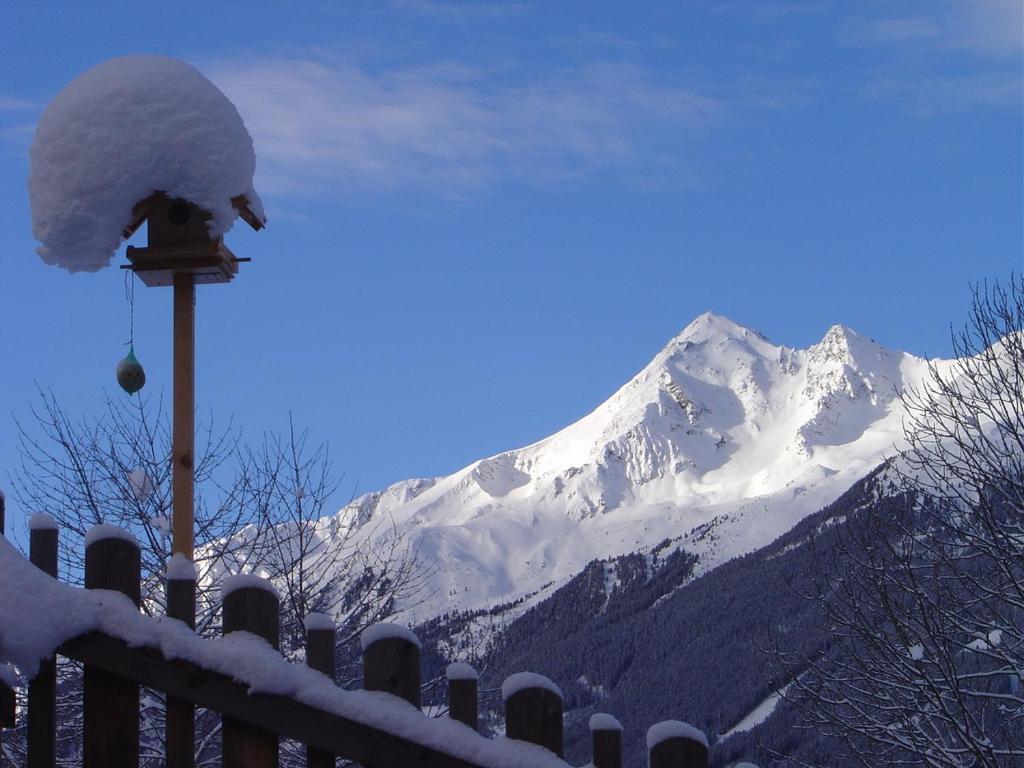 Haus Harbauer Neustift im Stubaital Exterior foto